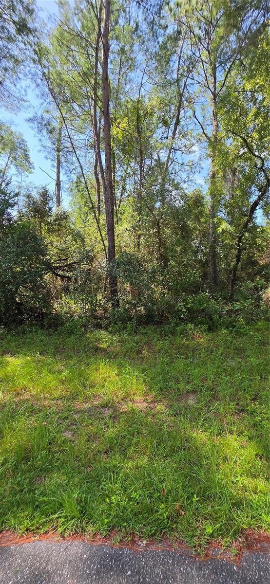 0 Sw 151 Pl Property Photo 12