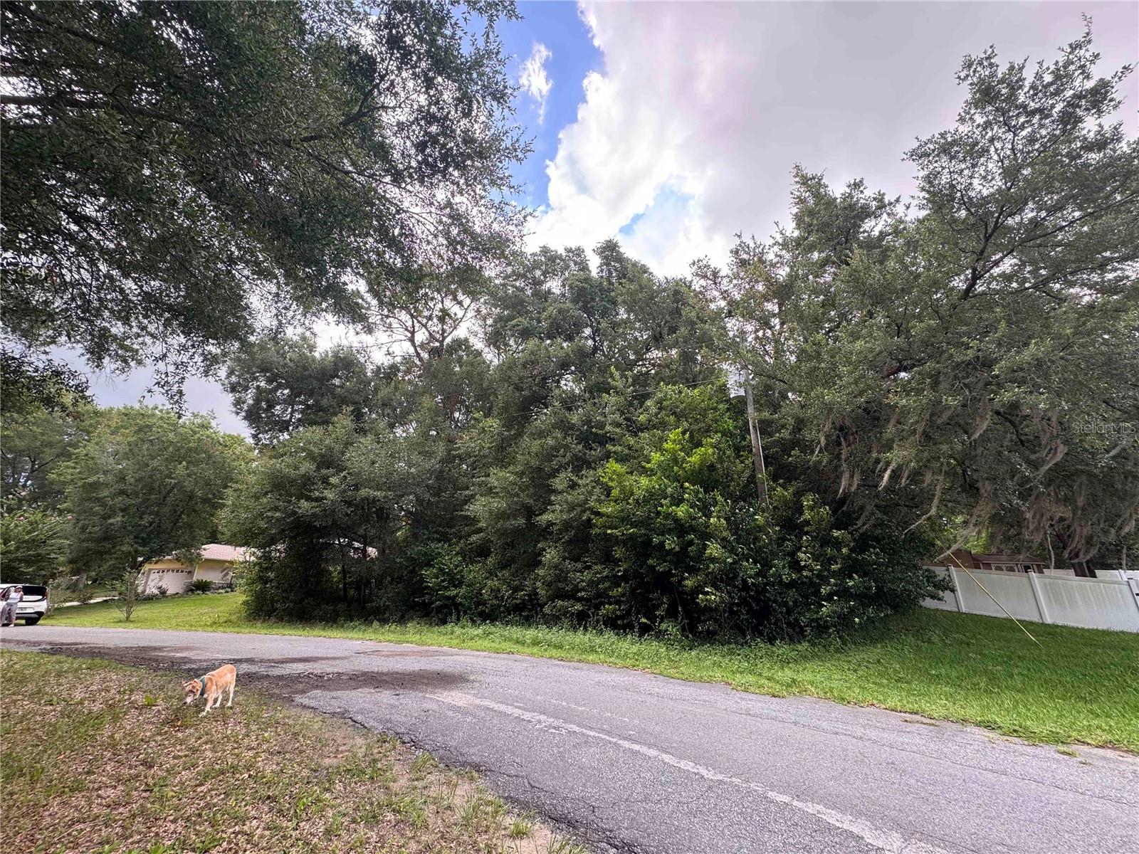 8371 N Titleist Dr Property Photo 7