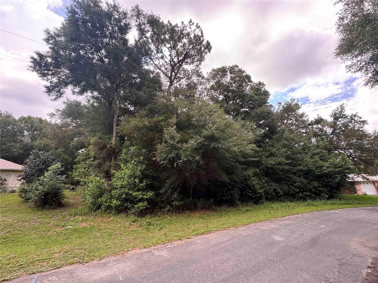 8371 N Titleist Dr Property Photo 8