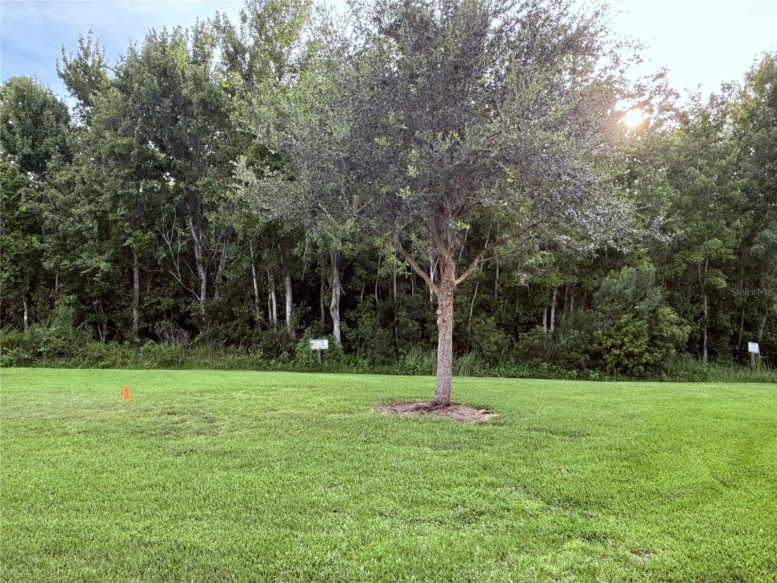 11155 Savannah Landing Cir Property Photo 48