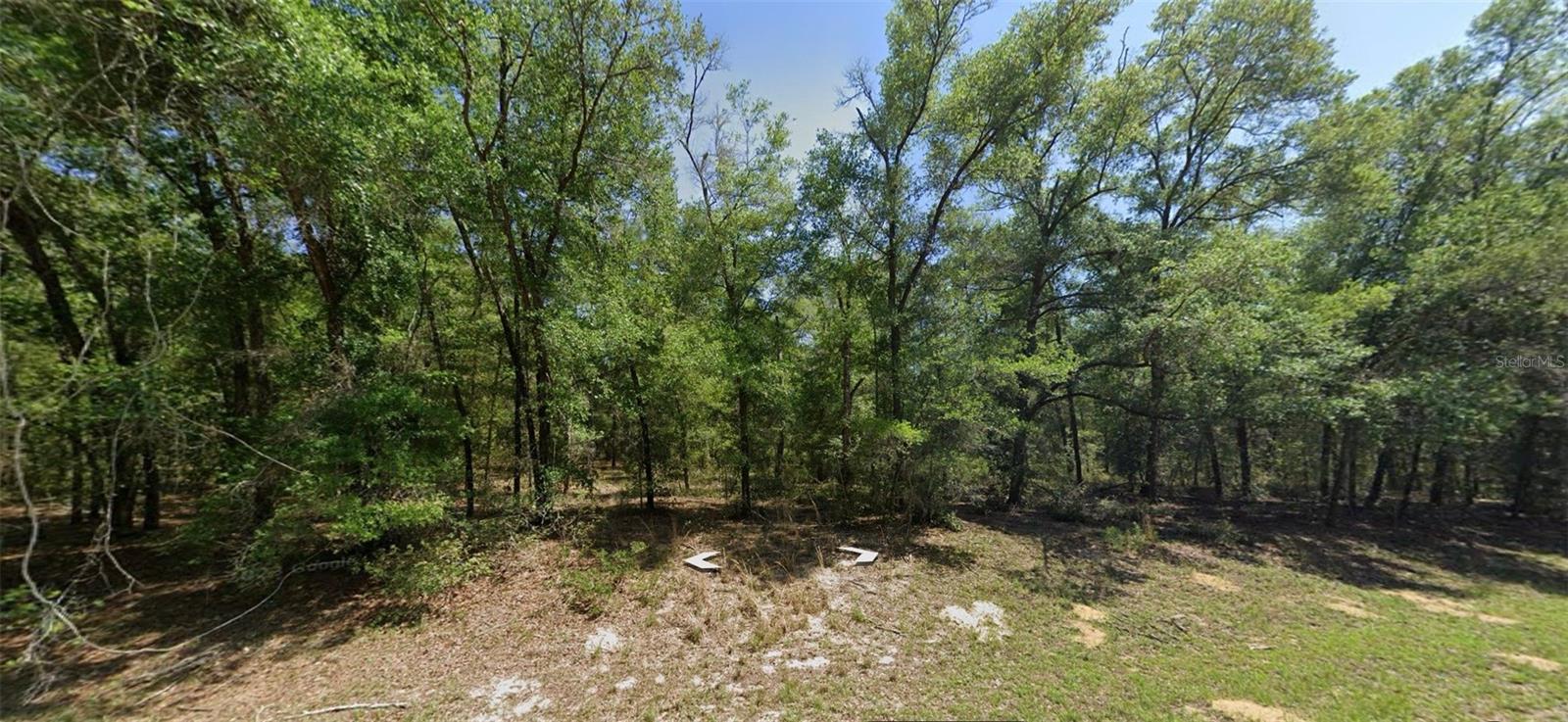 8388 N JOINER WAY Property Photo 1