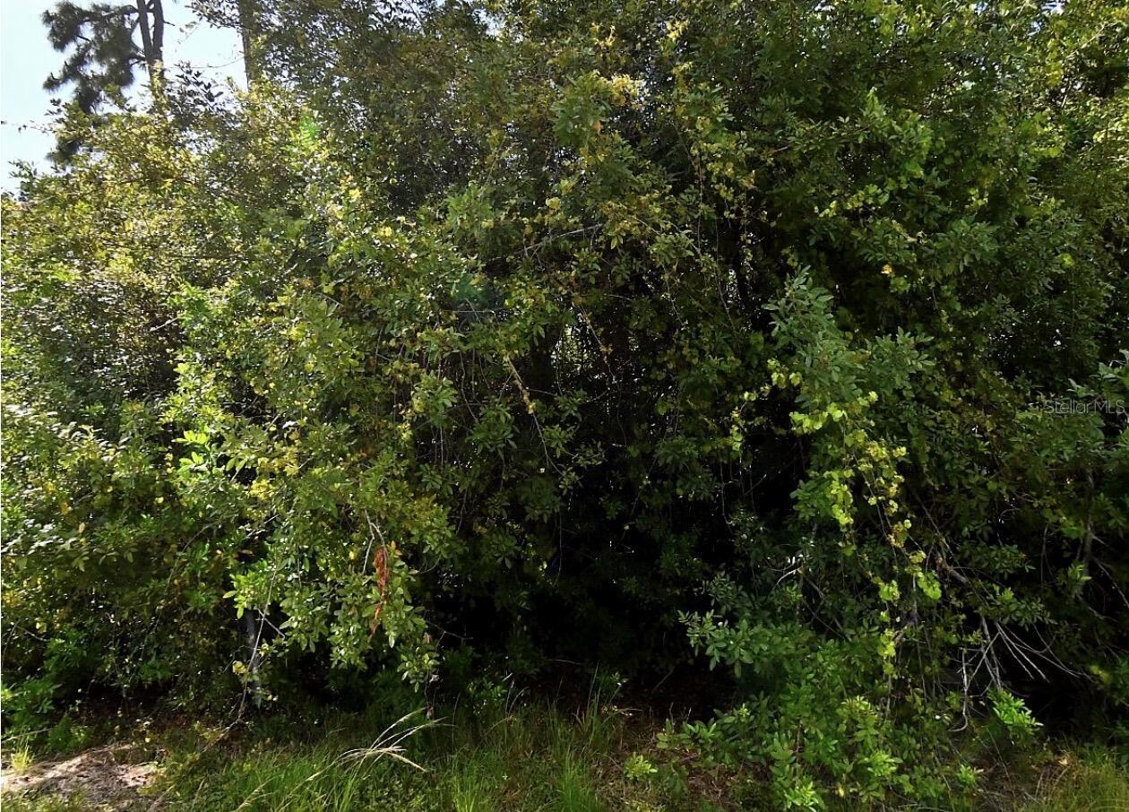 Map Ave Property Photo 1