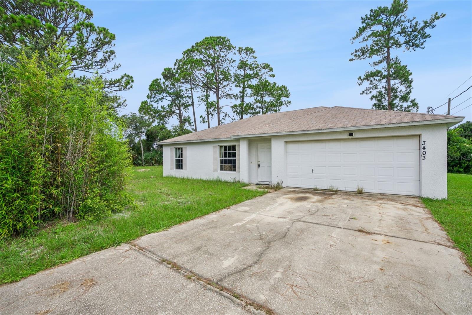 3403 Queen Palm Dr Property Photo 3