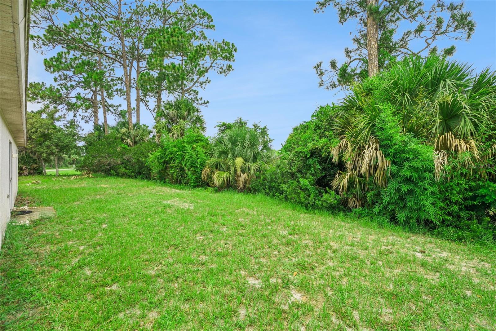 3403 Queen Palm Dr Property Photo 28