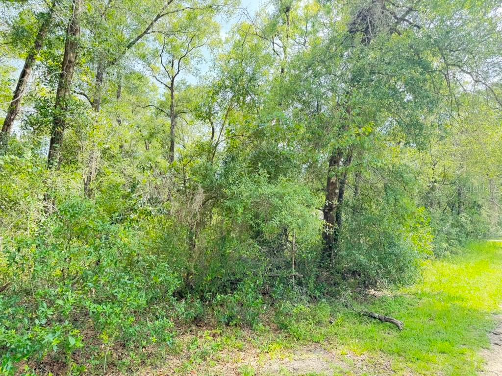 3560 E Bellshire Pl Property Photo 5