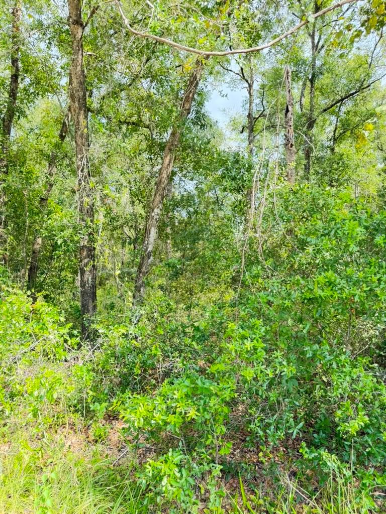 3560 E Bellshire Pl Property Photo 6