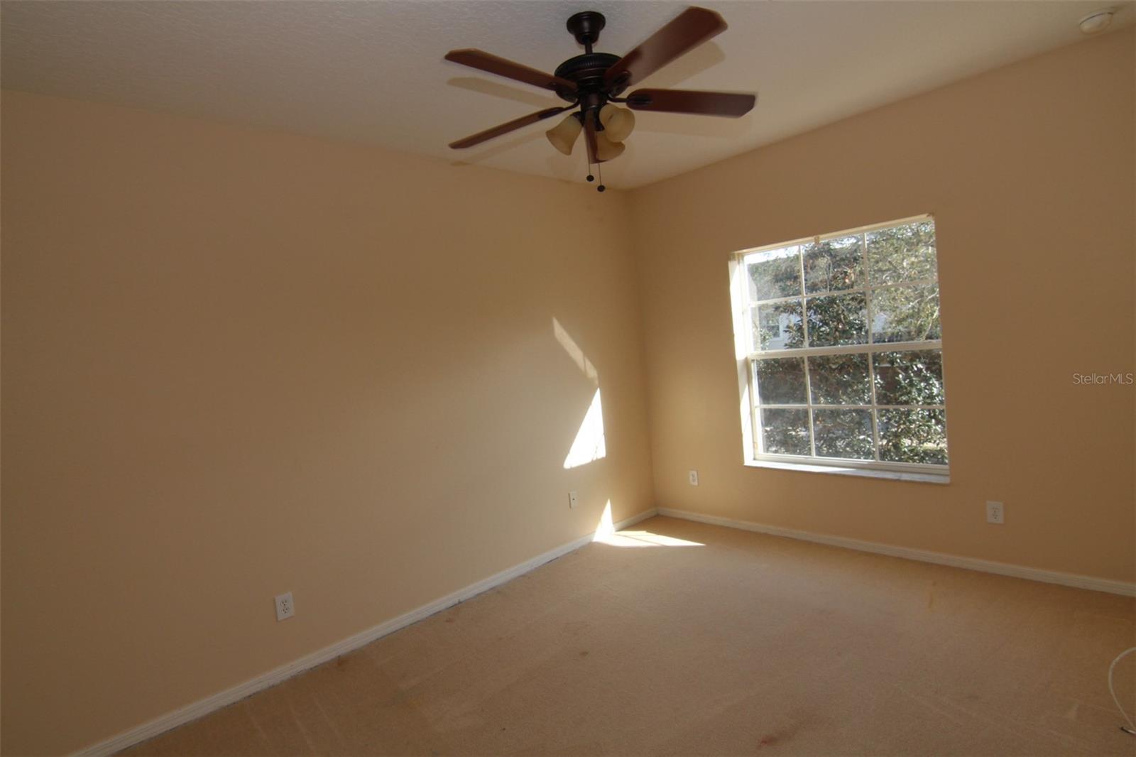 733 Fortanini Cir Property Photo 18