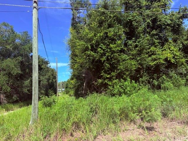 Ne 249th Ct Property Photo 3