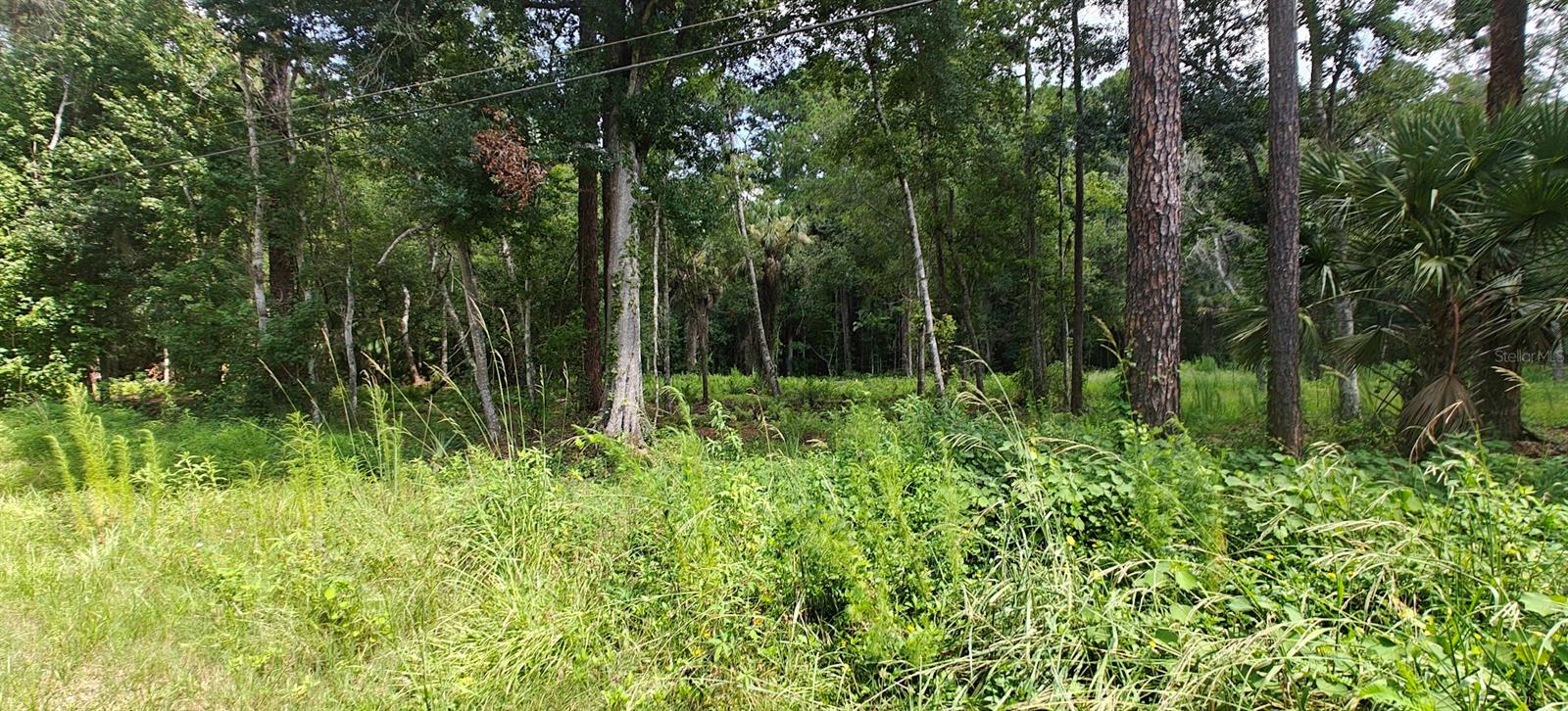 8401 Amelia Trl Property Photo 1