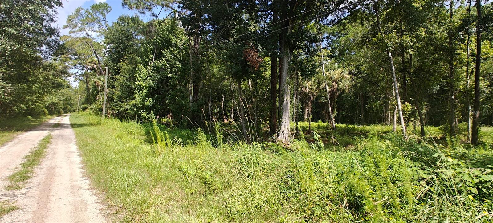 8401 Amelia Trl Property Photo 5