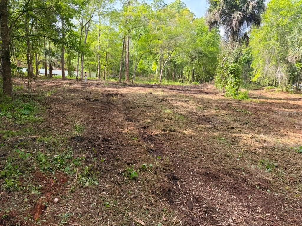 8401 Amelia Trl Property Photo 17