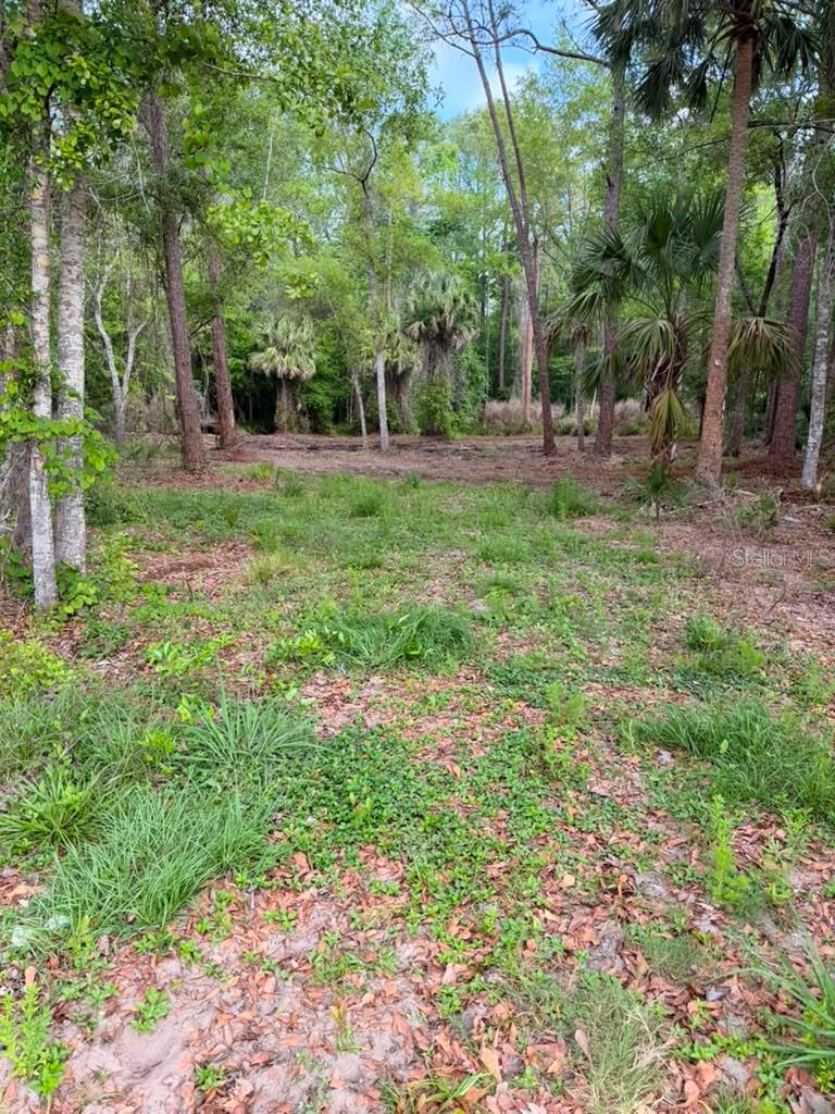 8401 Amelia Trl Property Photo 18