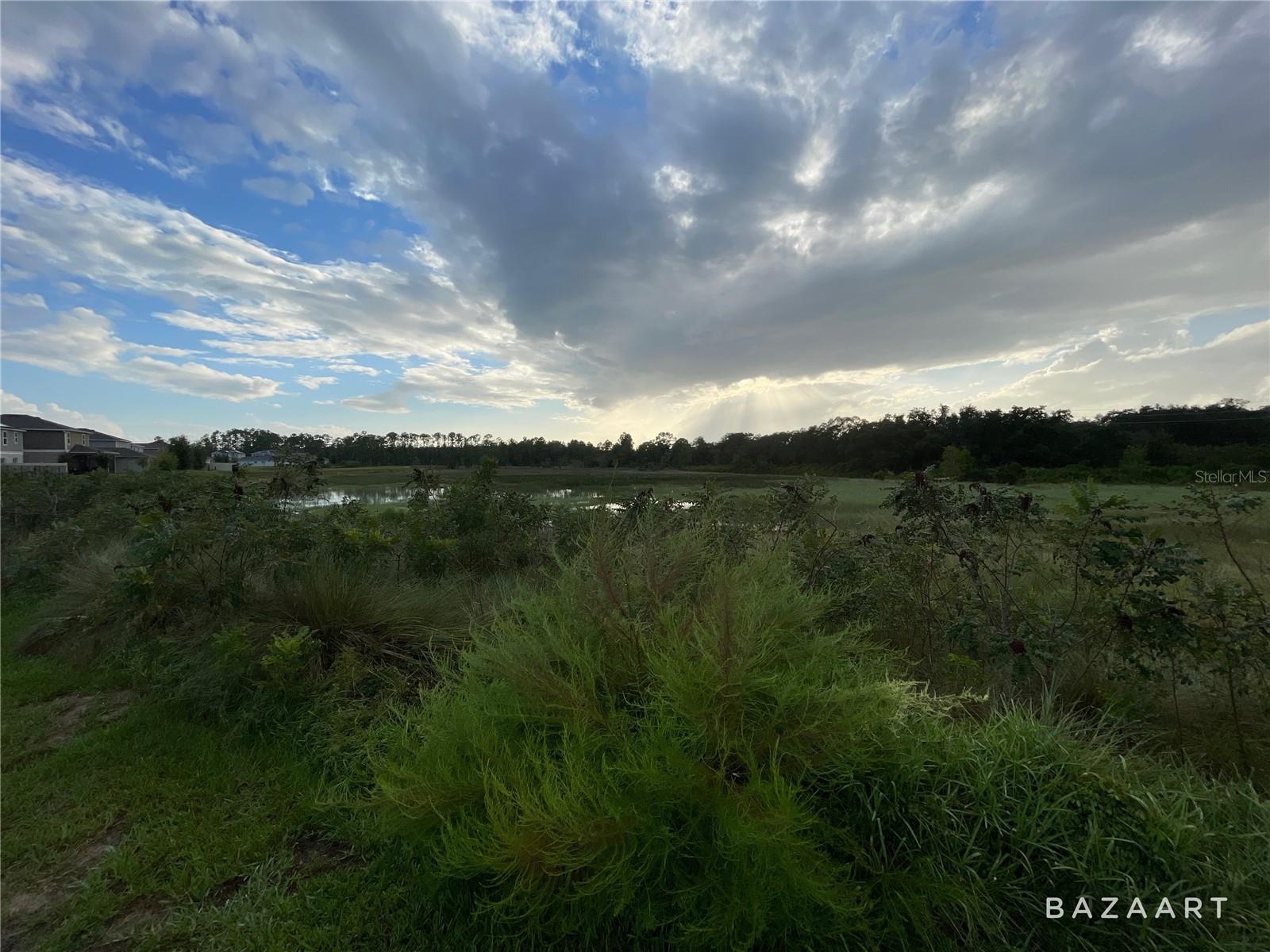 1349 Sawgrass Hammock Ln Property Photo 31