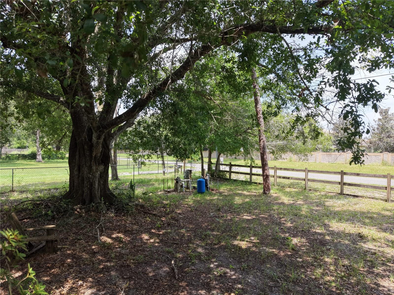 18440 Amityville Dr Property Photo 13