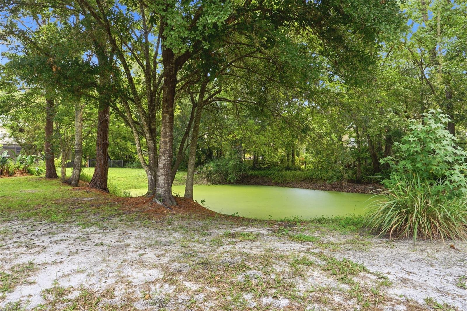 4784 Oren Brown Rd Property Photo 41