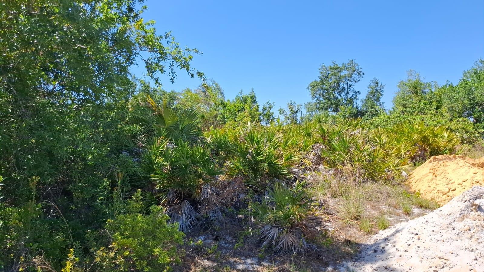 5116 White Ave Property Photo 2