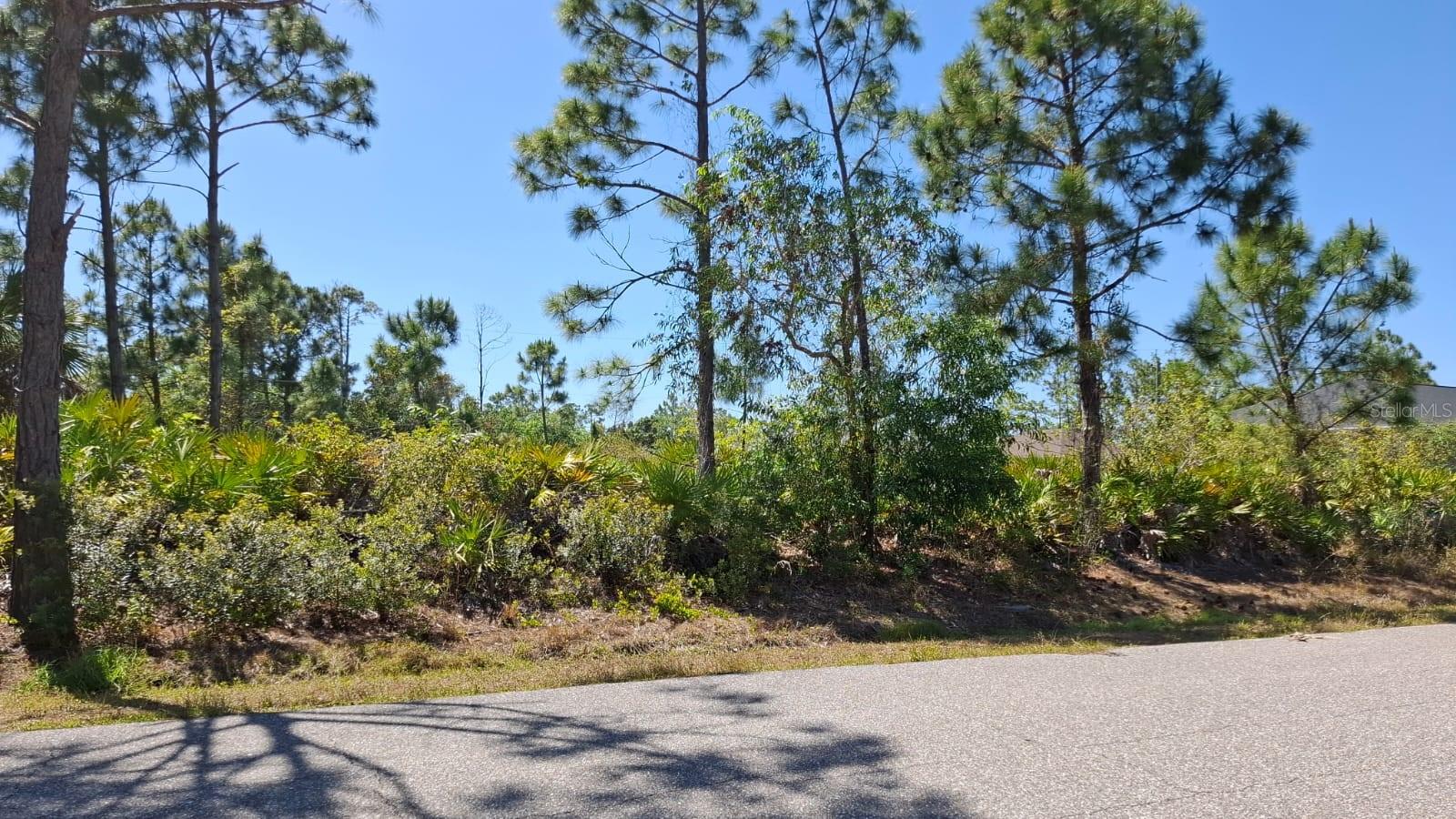 5541 Gulfport Ter Property Photo 3