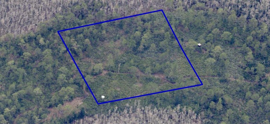 Dill Rd Property Photo 5
