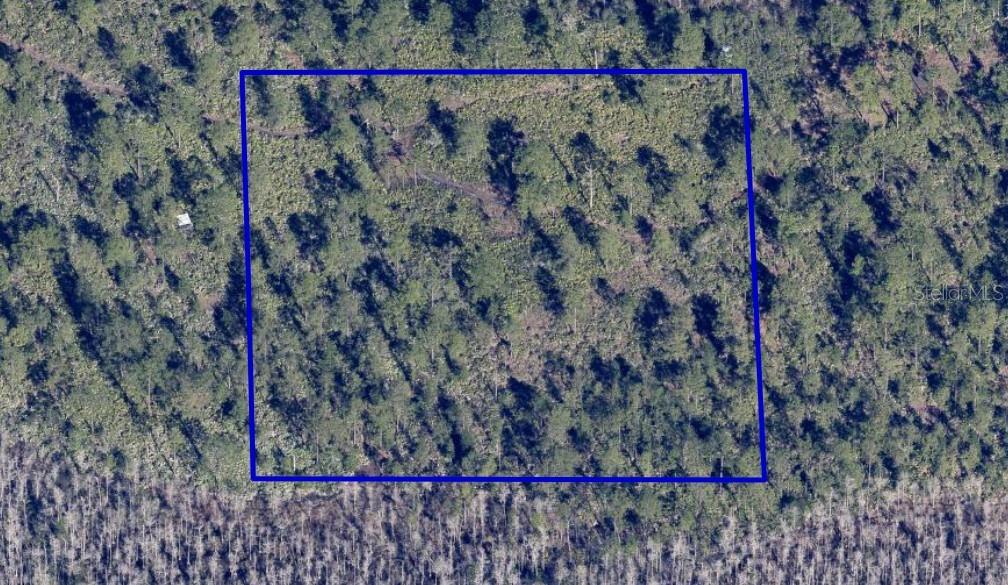 Dill Rd Property Photo 6
