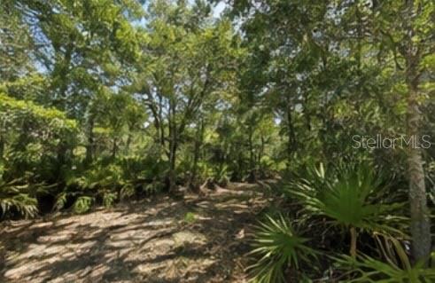 1231 Camilo St Property Photo 3