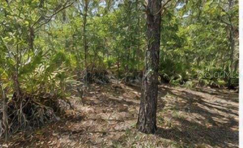 1231 Camilo St Property Photo 4