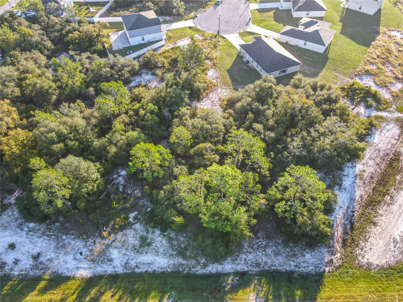 1257 Amazon Ln Property Photo 10