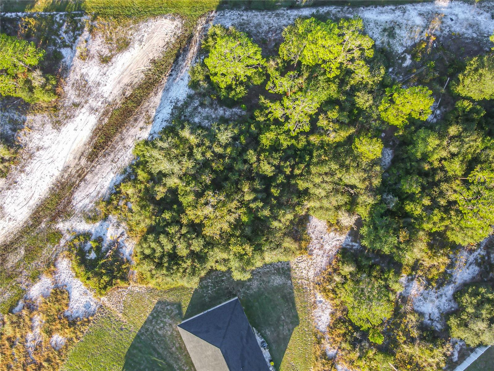 1257 Amazon Ln Property Photo 12