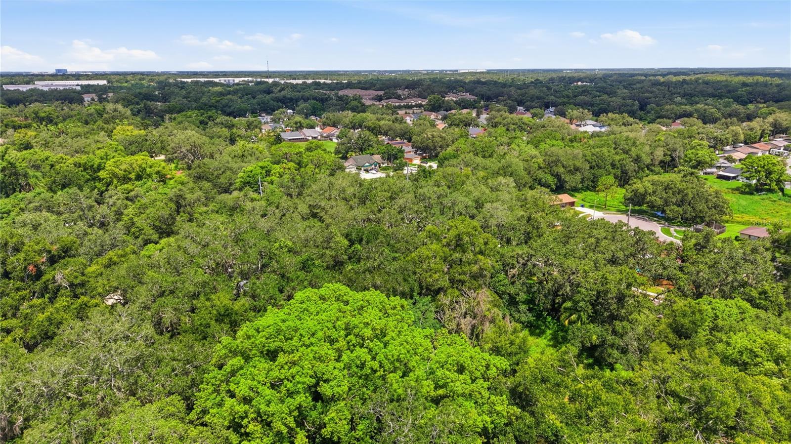11211 Clay Pit Rd Property Photo 4