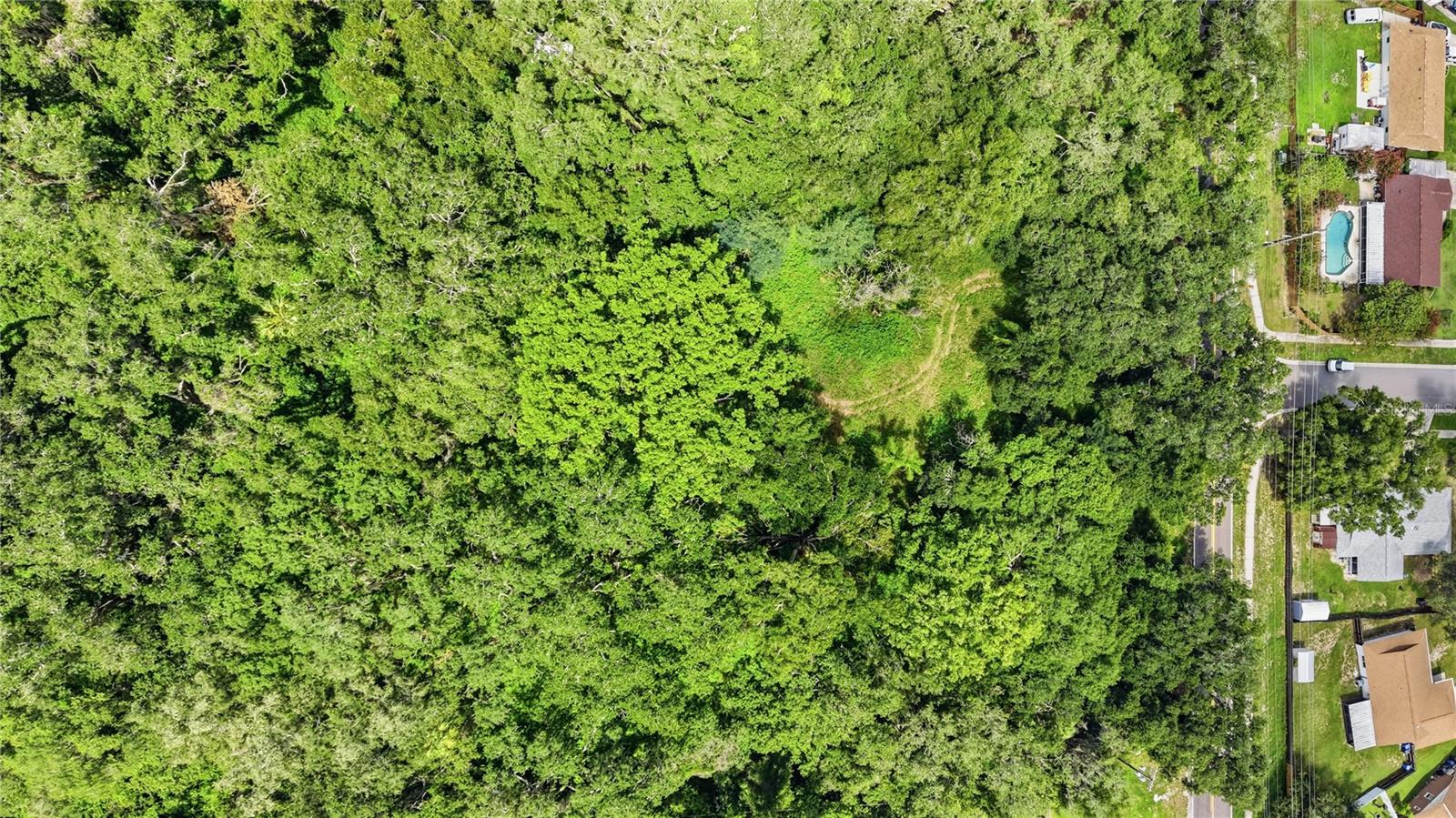 11211 Clay Pit Rd Property Photo 7