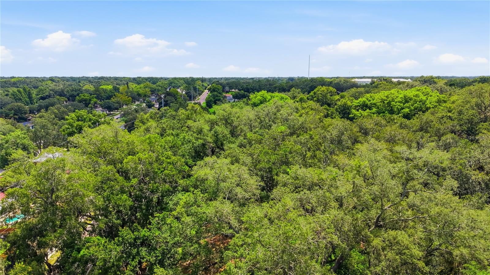 11211 Clay Pit Rd Property Photo 13