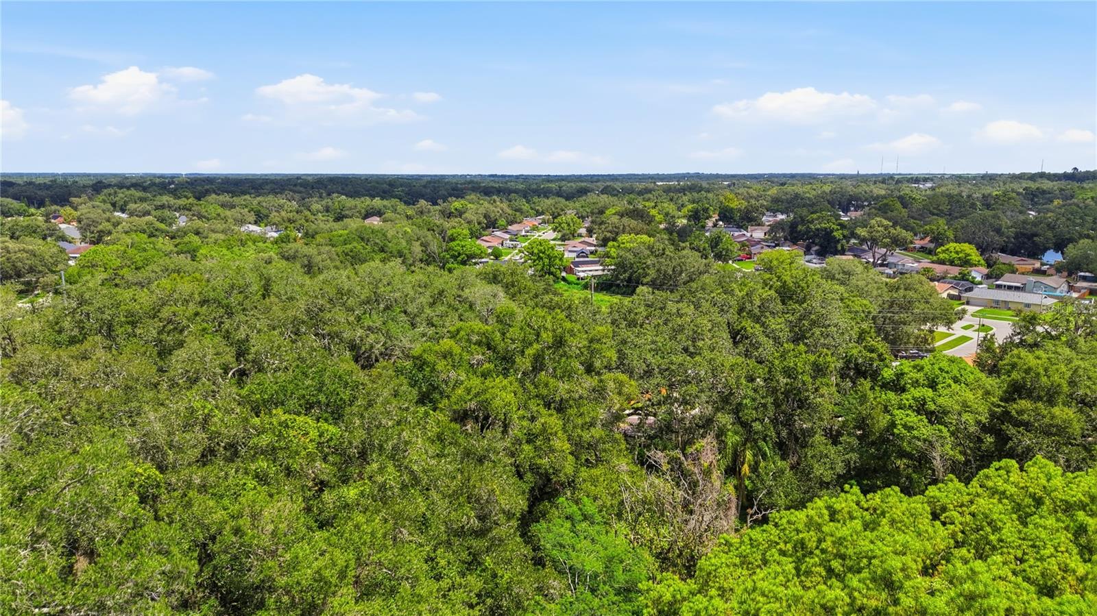 11211 Clay Pit Rd Property Photo 14