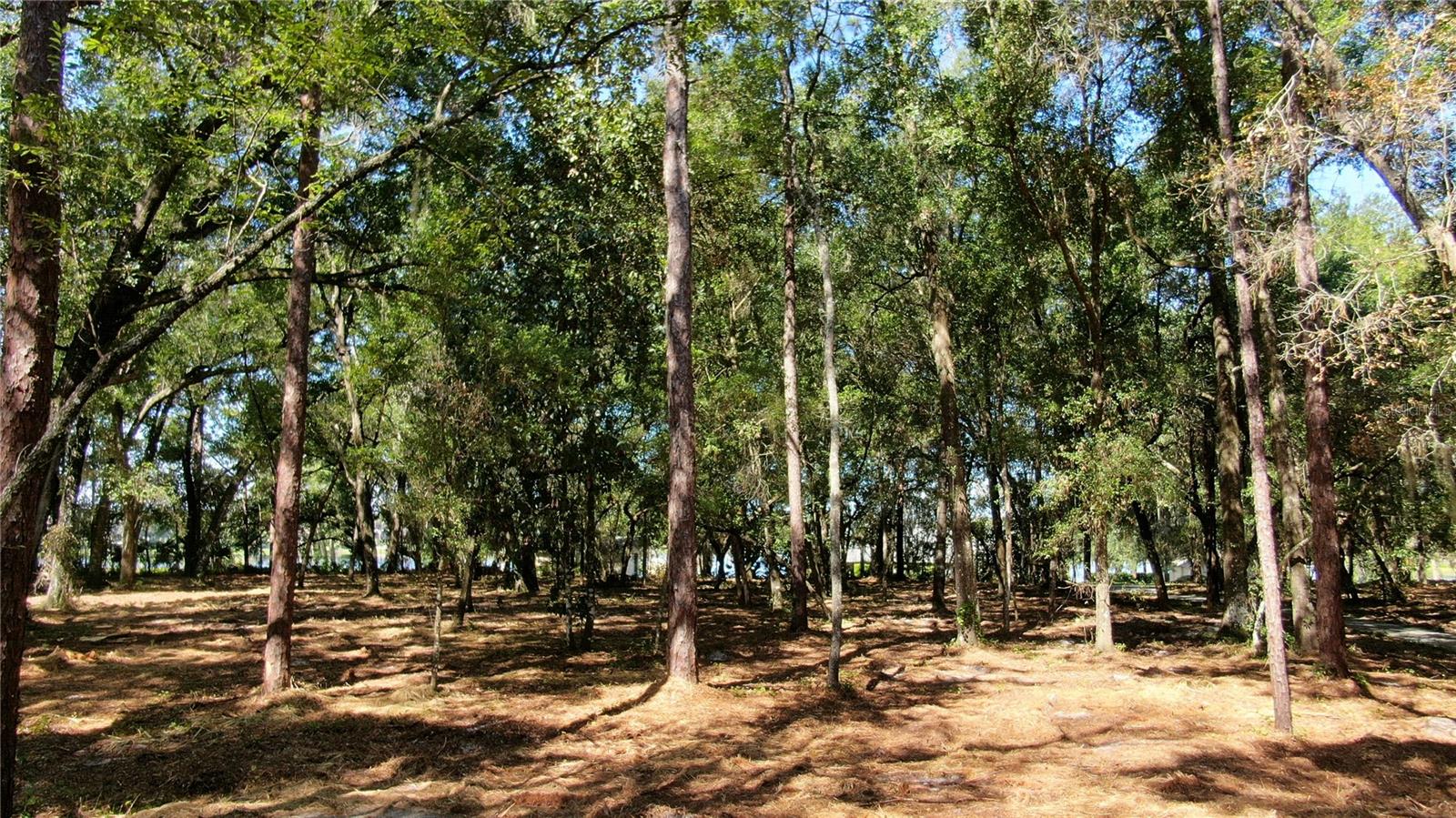 Lake Markham Rd Property Photo 4