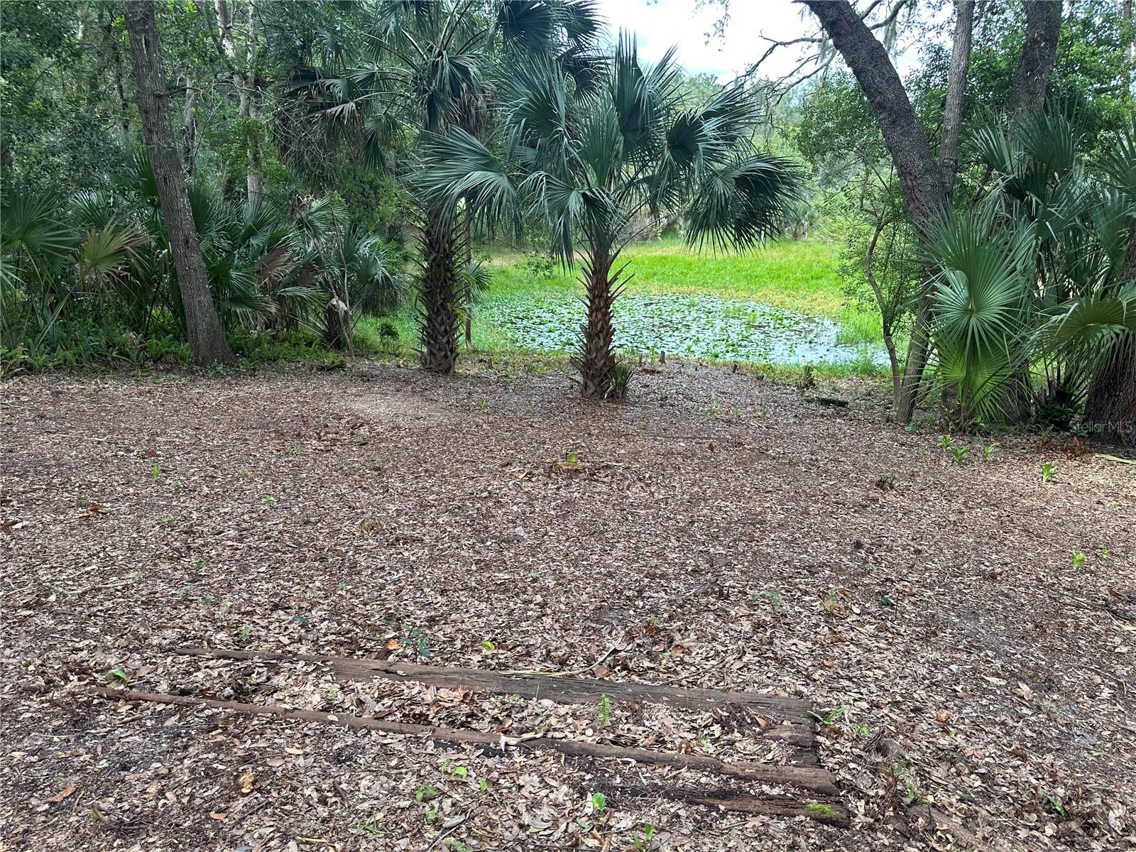 1937 Hidden Pine Ln Property Photo 43