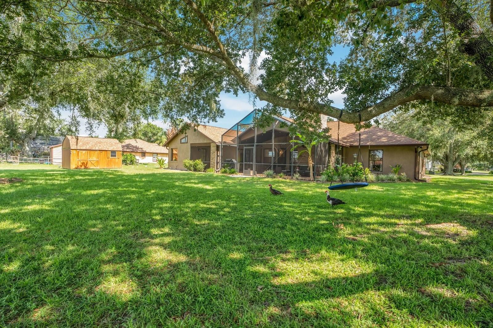 3251 Pinewood Ct Property Photo 29