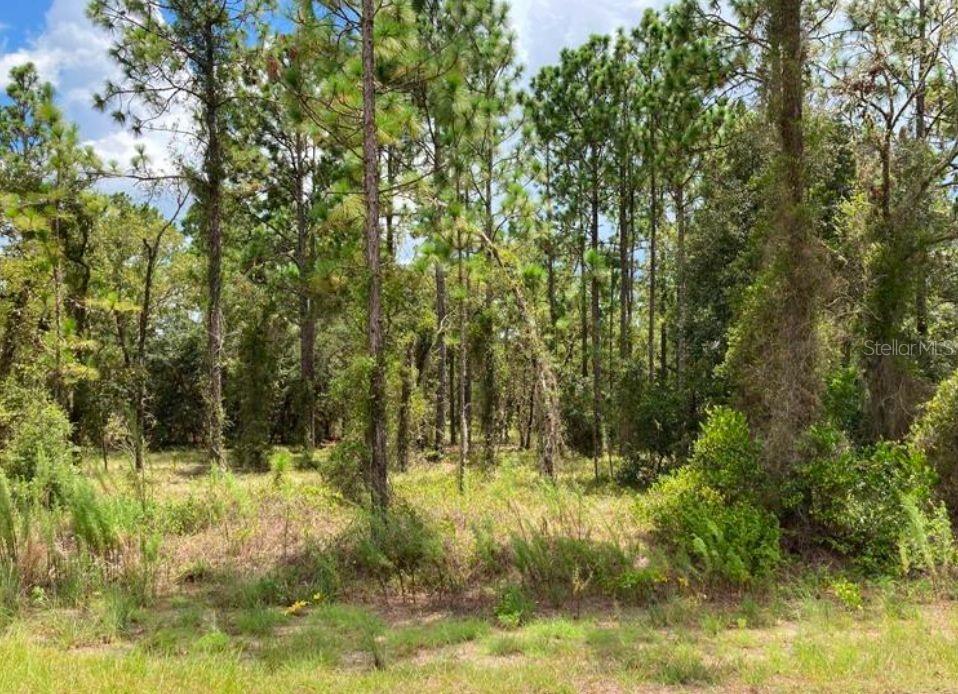 Tbd Sw Neptune Blvd Property Photo 1