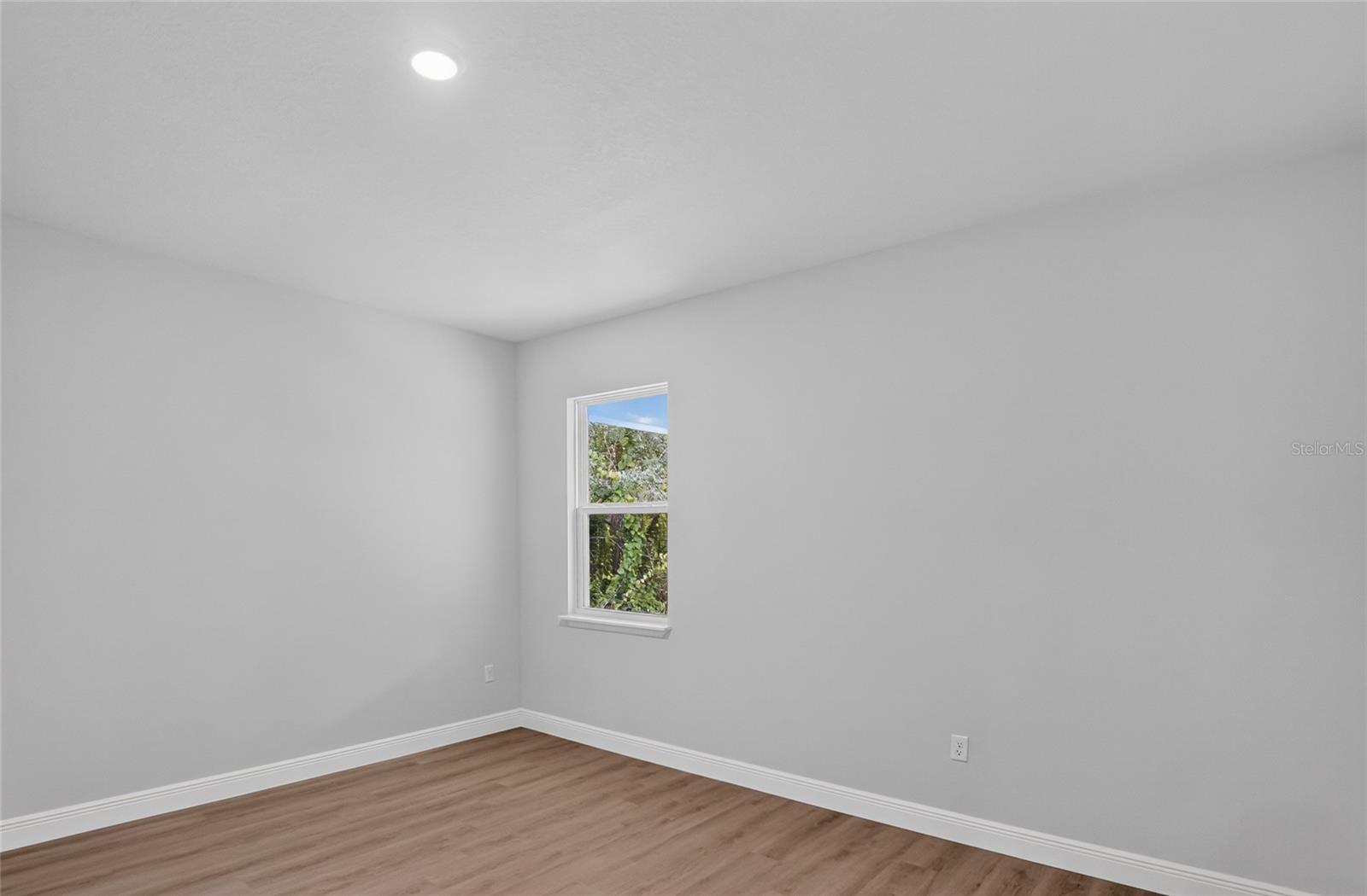 54 Douglas St Property Photo 24