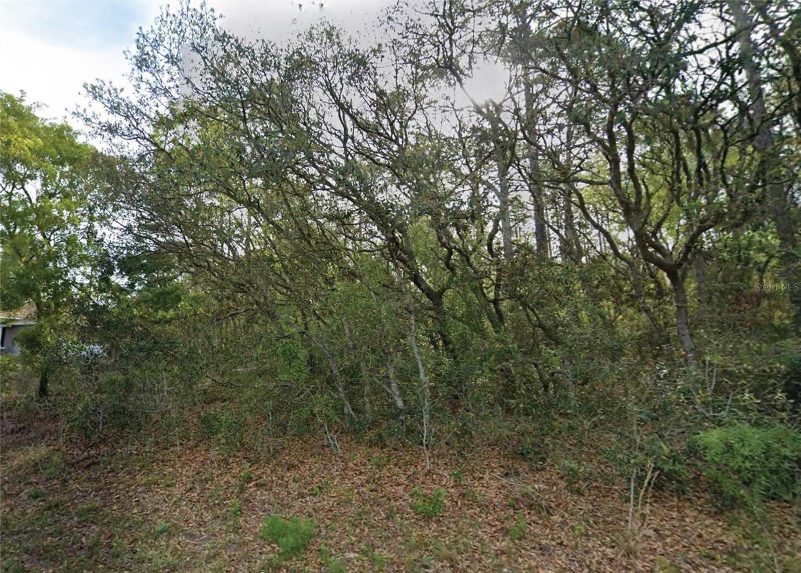 7759 N MALTESE DR Property Photo 1