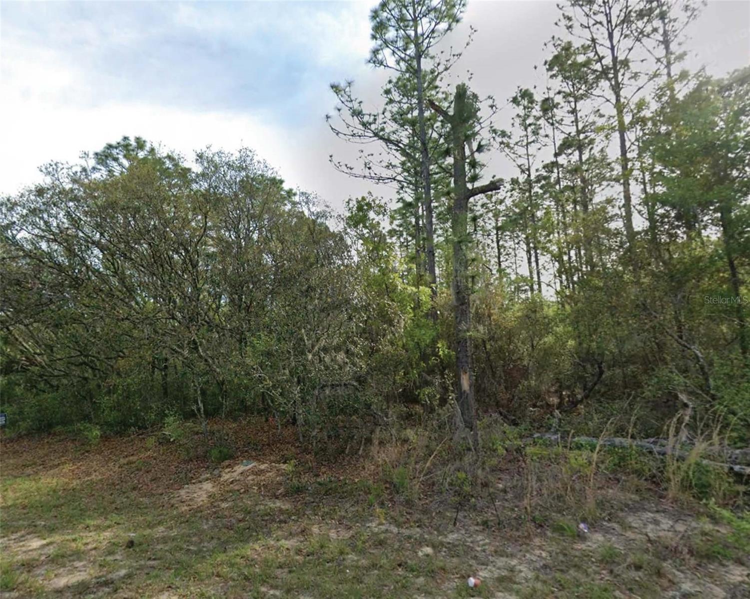 7745 N Maltese Dr Property Photo 1