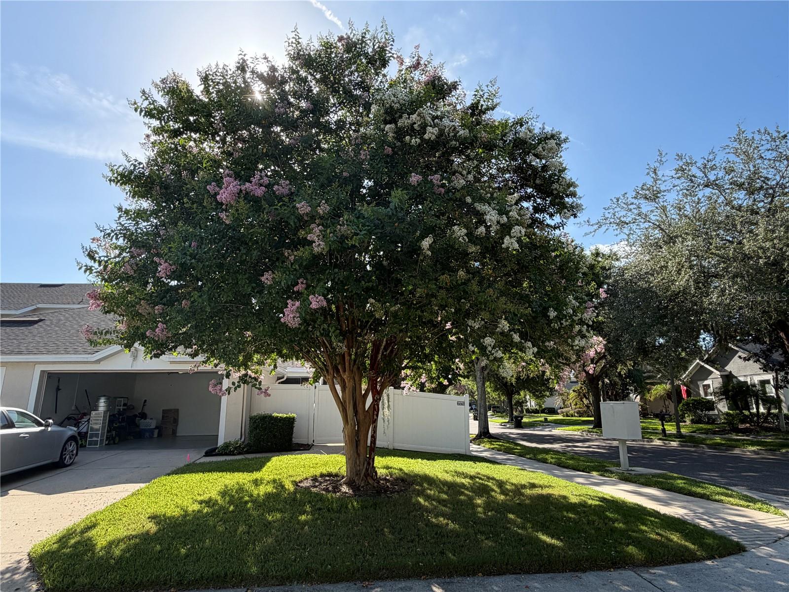 13006 Sunkiss Loop Property Photo 7
