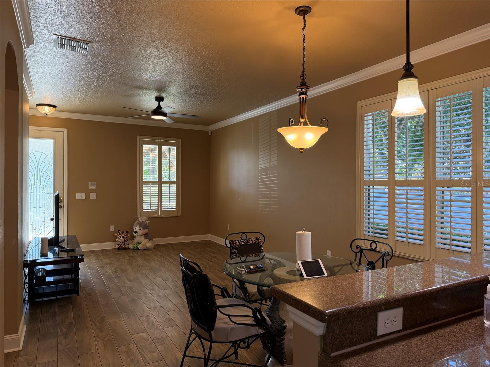 13006 Sunkiss Loop Property Photo 30