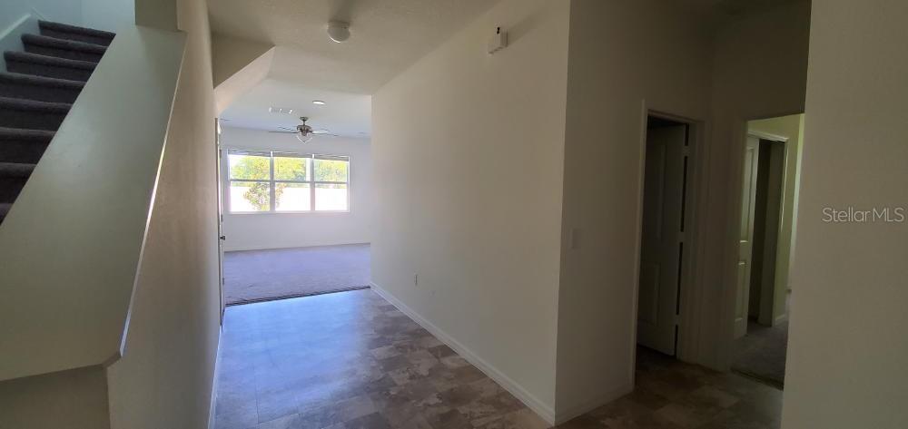2354 Twin Flower Ln Property Photo 2