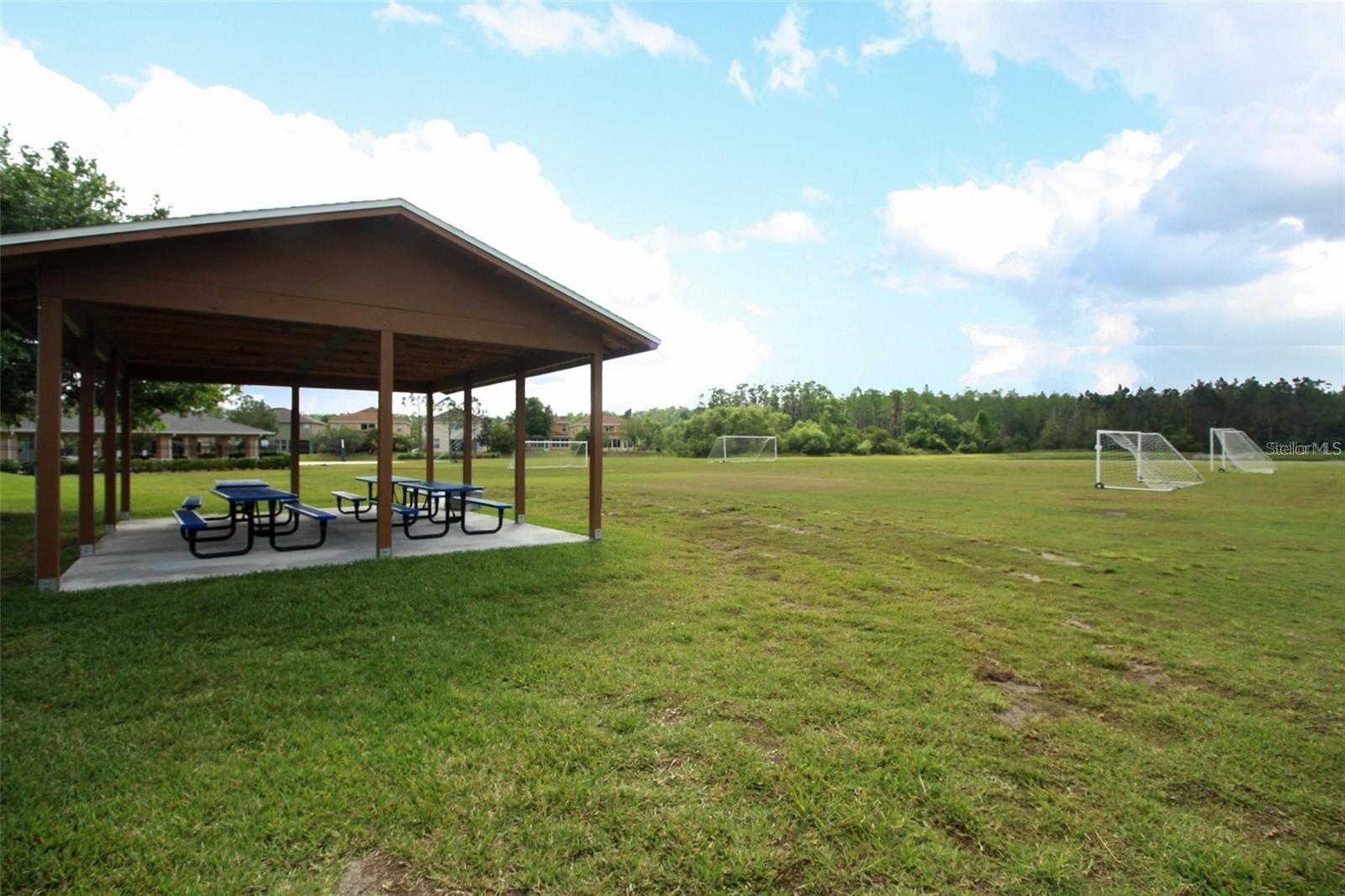 14061 Turning Leaf Dr Property Photo 49