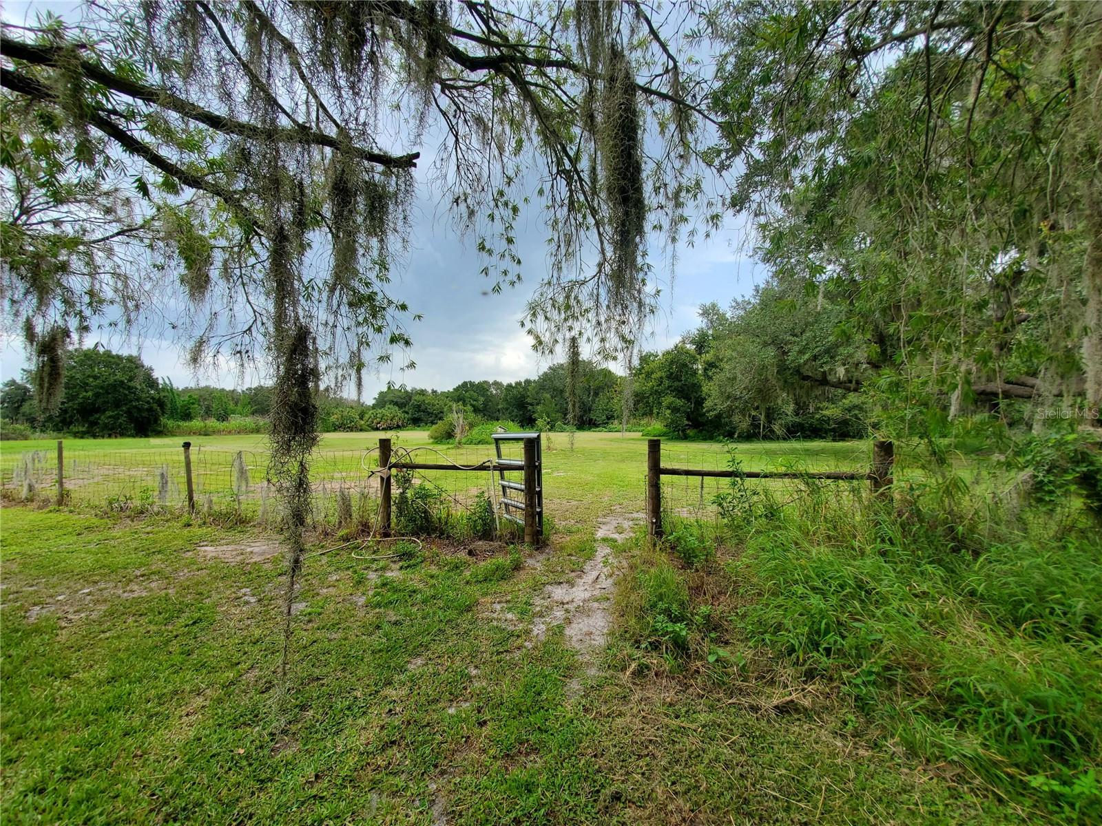 1662 Harvill Rd Property Photo 6