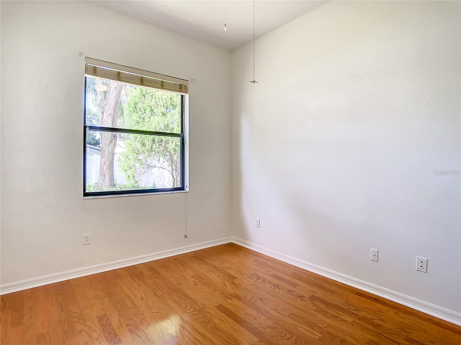 2811 Branch Creek Ave Property Photo 20