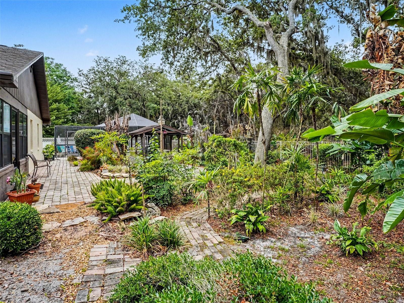 4870 Citrus Oak Ln Property Photo 4