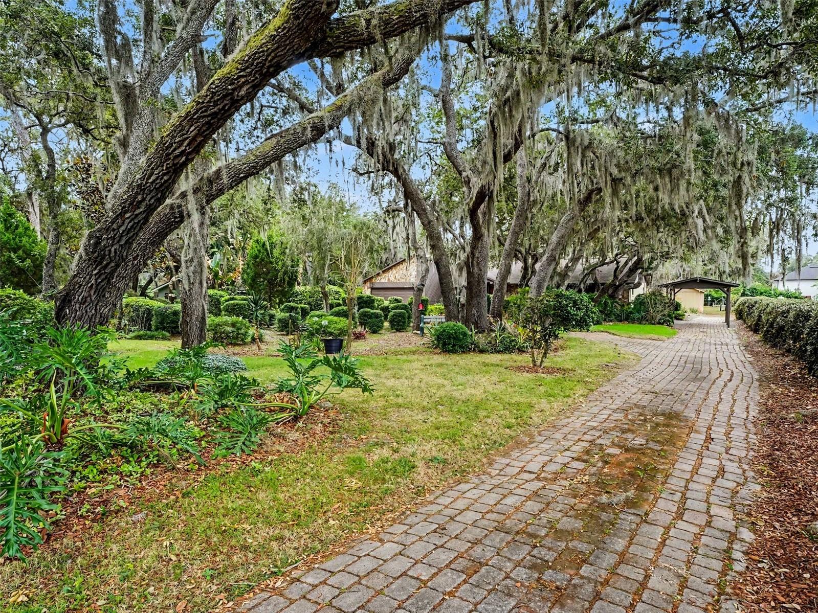 4870 Citrus Oak Ln Property Photo 36