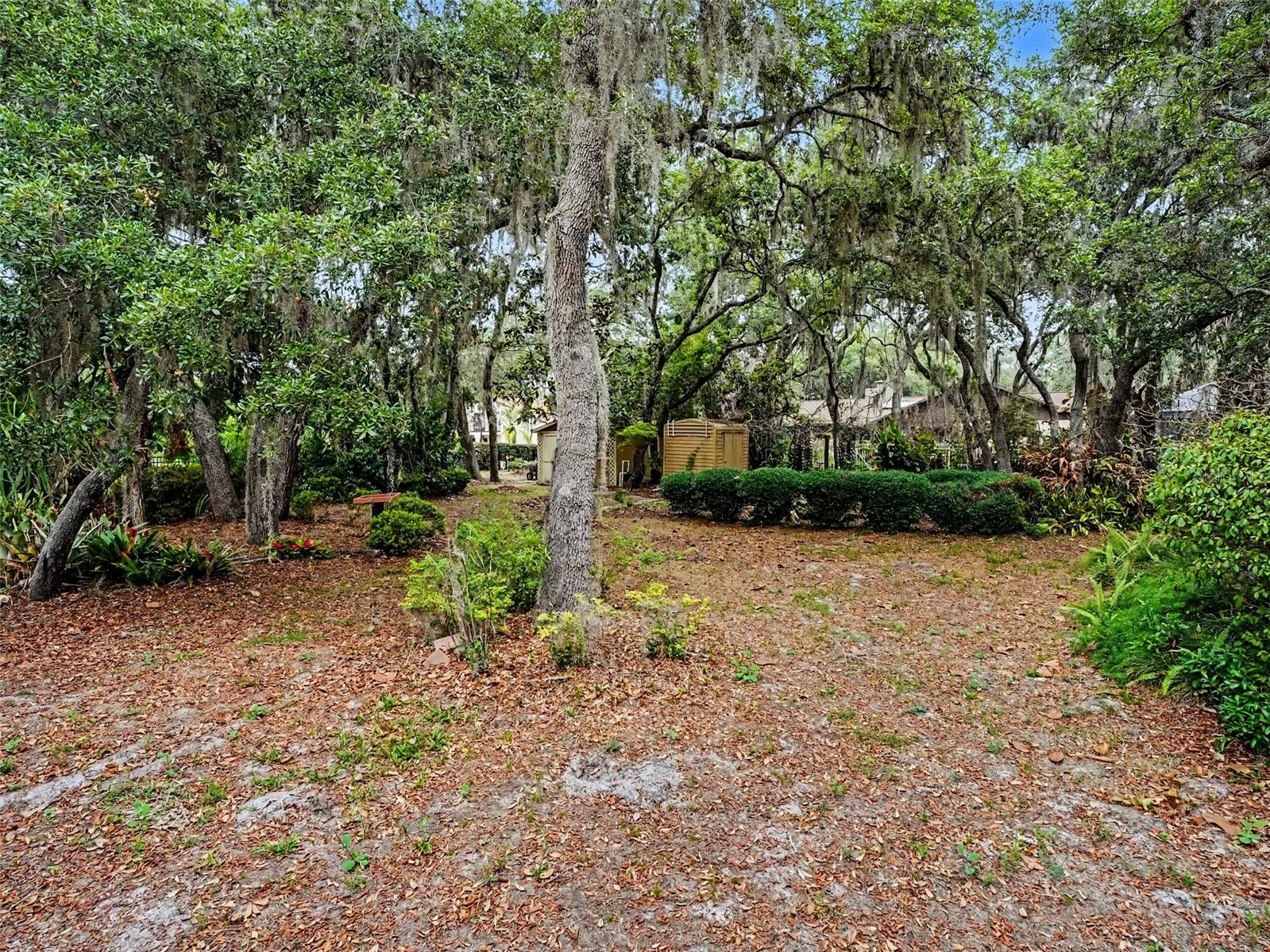 4870 Citrus Oak Ln Property Photo 38