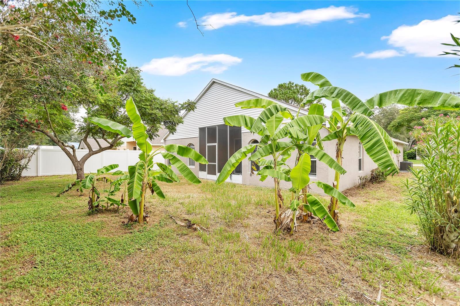 1422 Lake Shore Ranch Dr Property Photo 28
