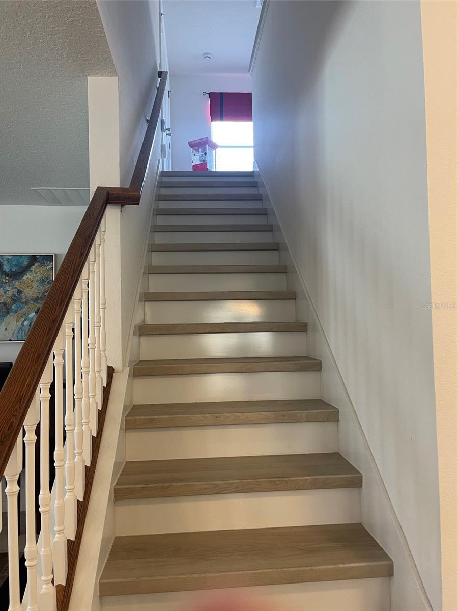 10723 Clover Walk Dr Property Photo 41