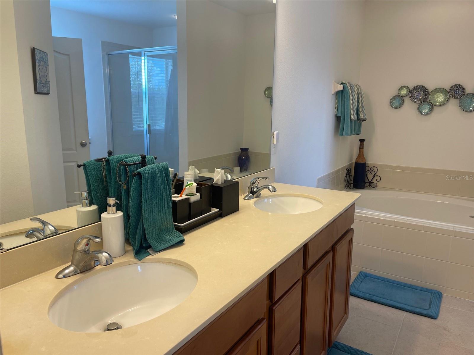 10723 Clover Walk Dr Property Photo 62